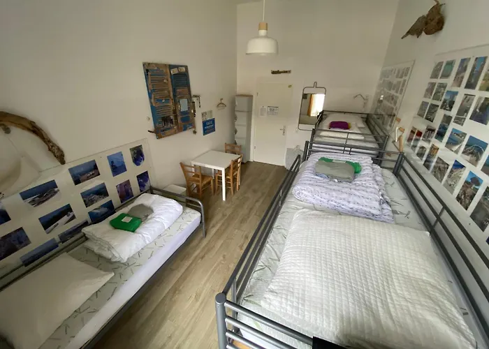 アートホステル シティー *